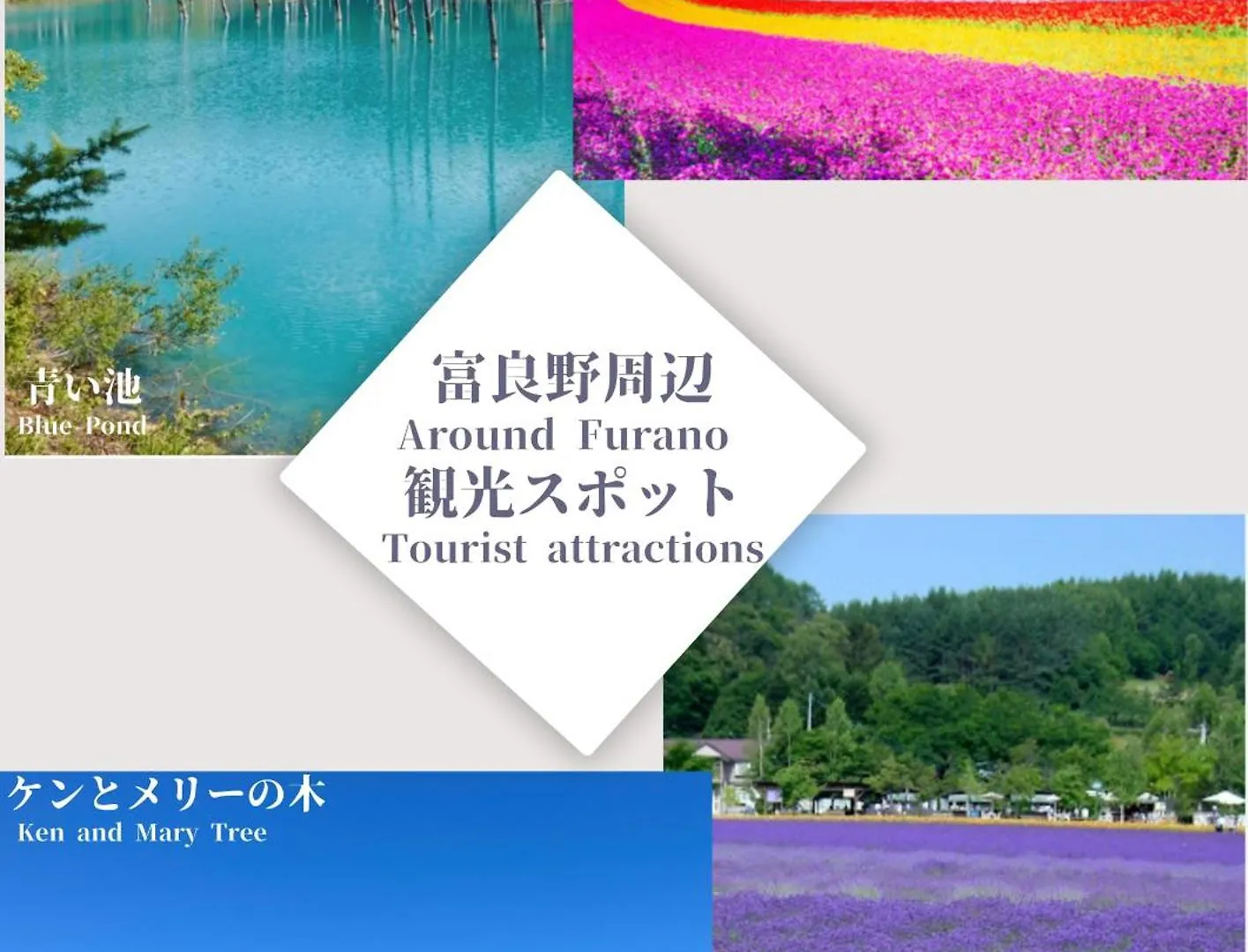 Furano Ski Rabi Japonia